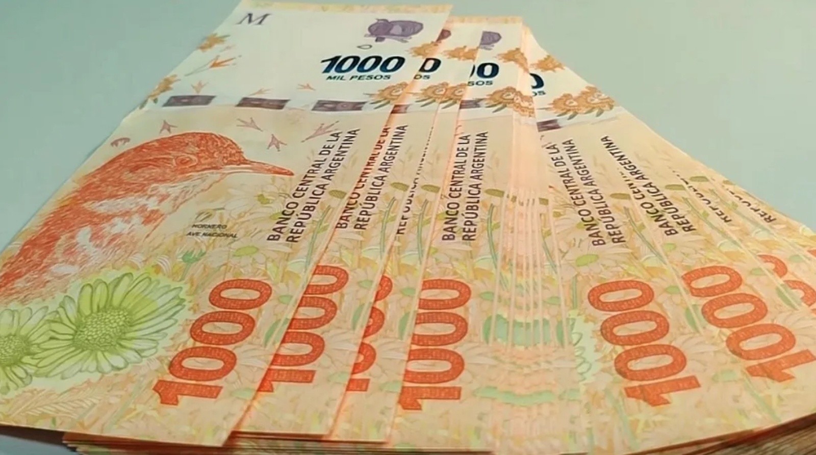 Compensación económica AUH: cuándo cobro el extra de $81.000 Compensación económica AUH: cuándo cobro el extra de $81.000