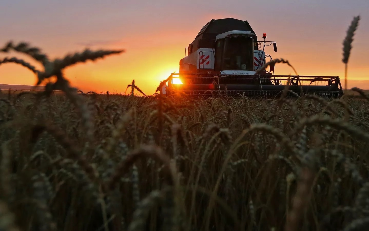 Cerealeras apoyaron públicamente la Ley de Modernización Laboral propuesta por La Libertad Avanza